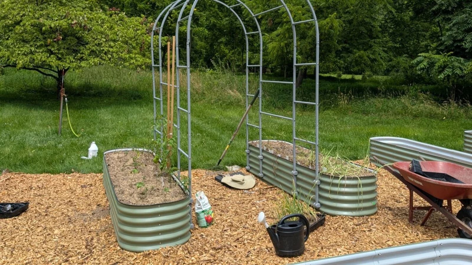 Vego Garden: Innovative Raised Garden Beds for Wellness & Sustainable Living
