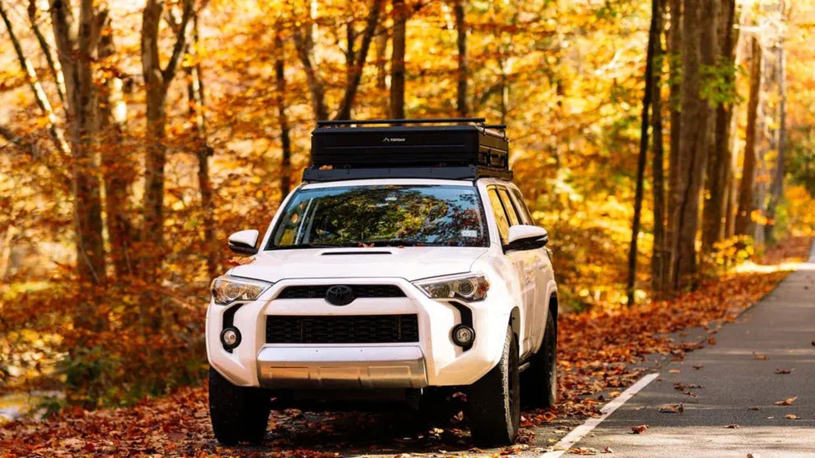Discover Amazing Topoak Overland Deals and Verified Coupon Codes Today