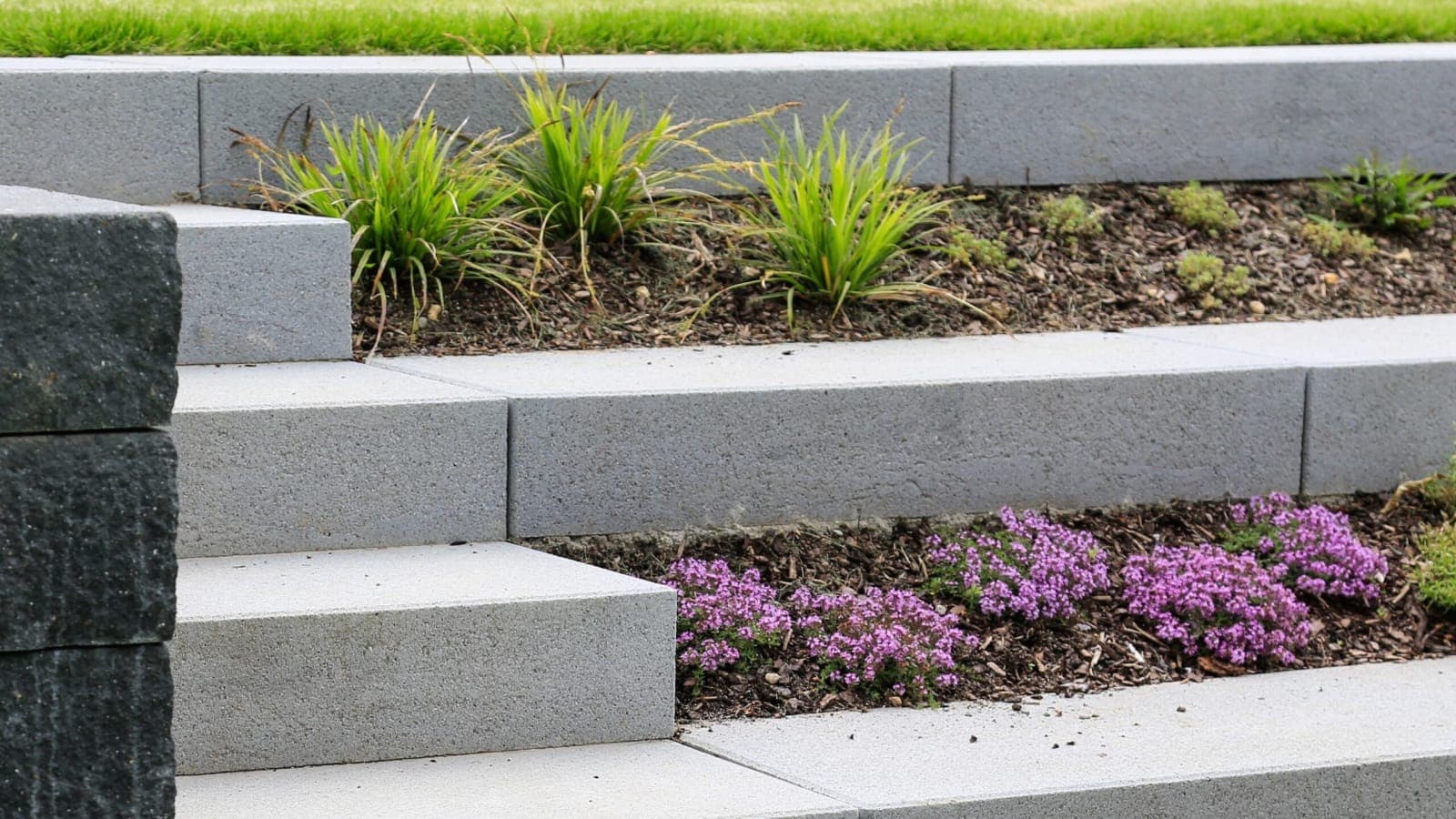 Unlock Exclusive Garden Trends Discounts and Special Offers Available Today