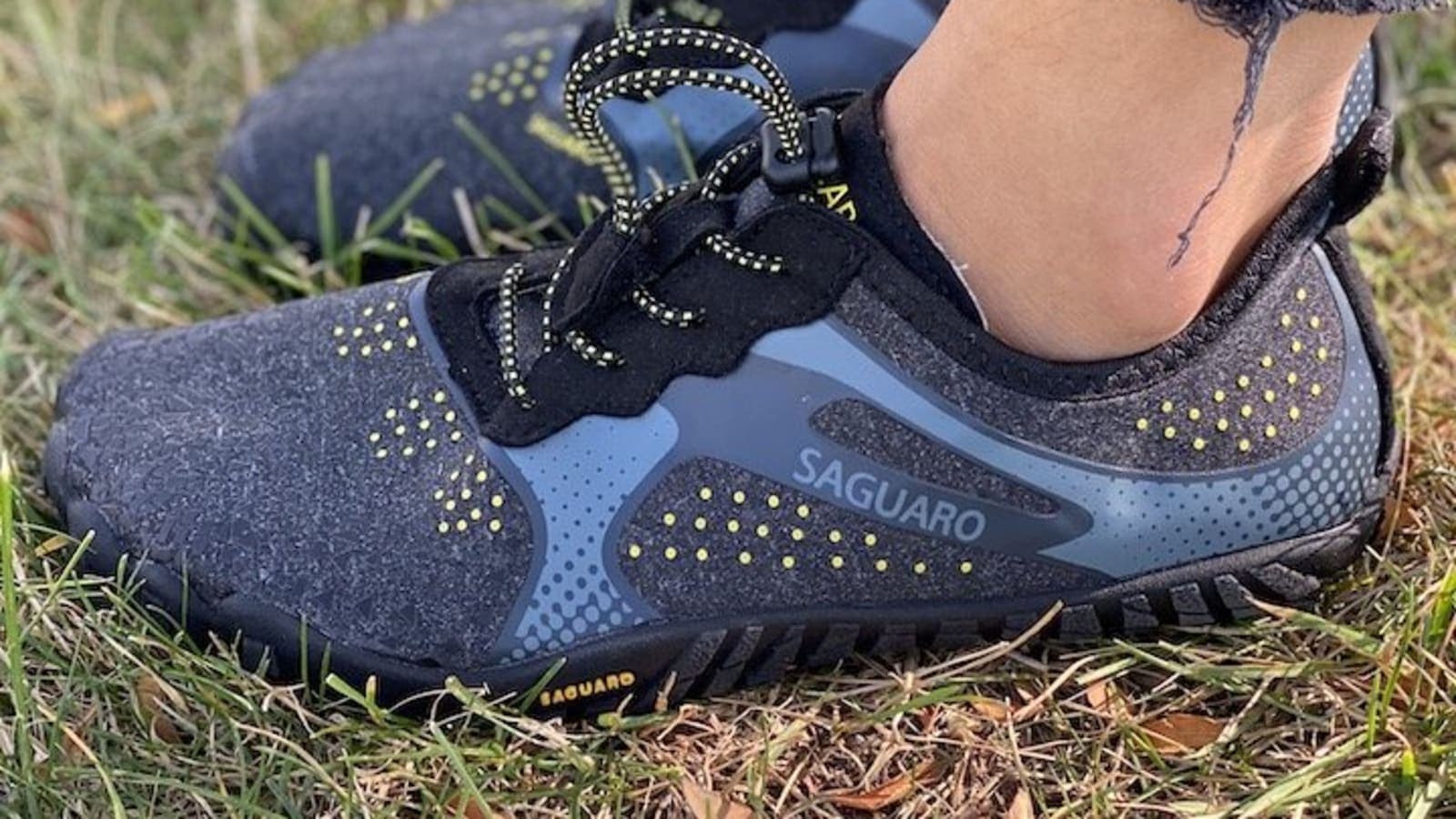 Saguaro: The Natural Path to Better Movement, Comfort, and Everyday Wellness