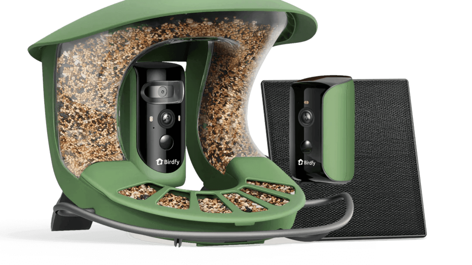 Birdfy: The Smart Way to Reconnect with Nature and Everyday Wellness